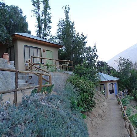 Cabanas Miraelqui Писко Елки Екстериор снимка